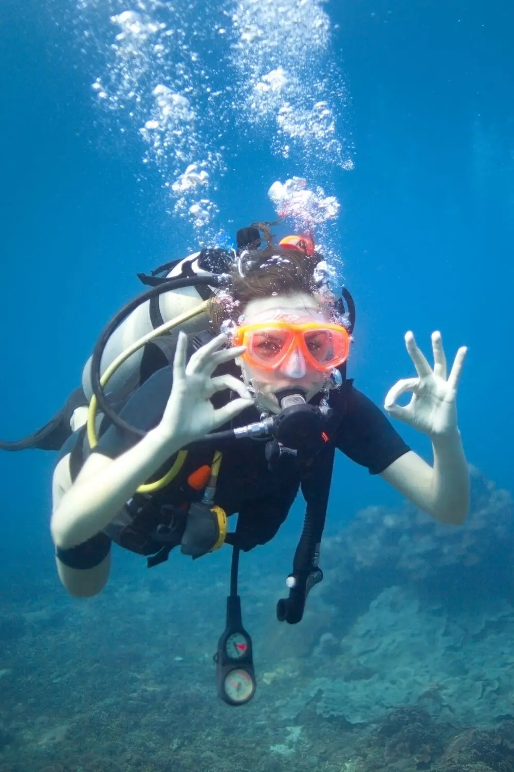 Marine Conservation Volunteer Opportunity
