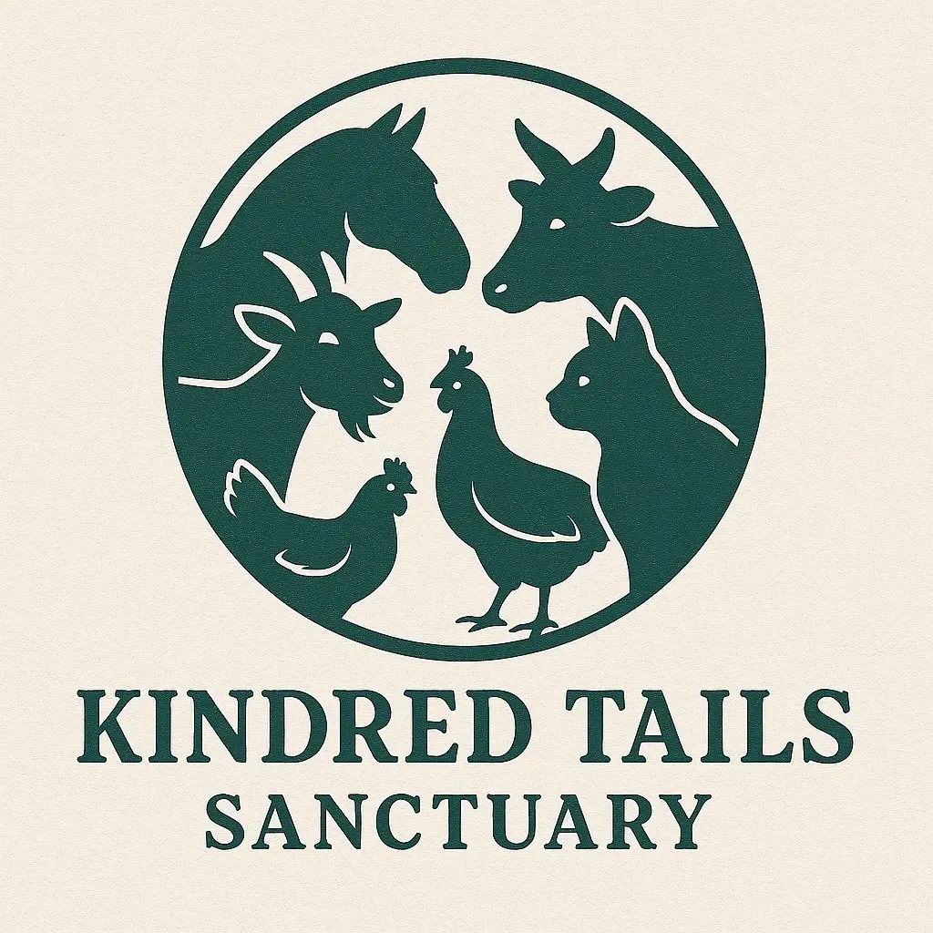 Animal Care & Enrichment Volunteer (Local)