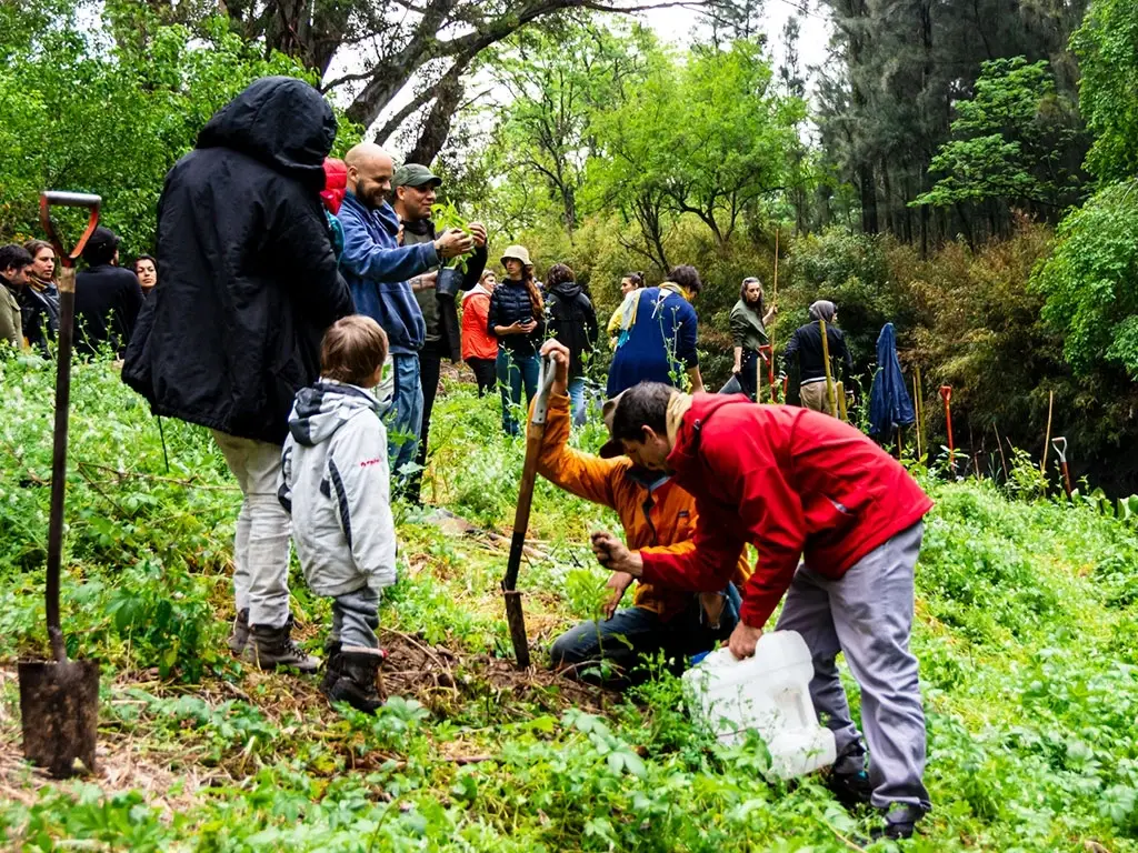 Voluntariado ambiental en Áreas Naturales Protegidas | Otoño - Invierno