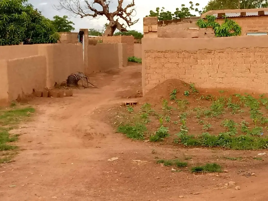 Sahel Youth Climate Net. the world's most vulnerable regions in terms of climate effects (Water, Agriculture, Environment...), conflicts, overpopulation ‎