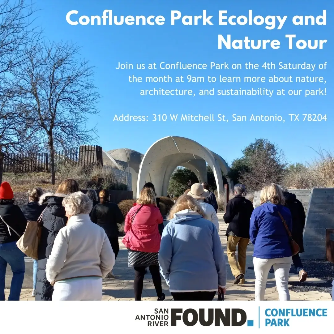 Confluence Park Ecology and Nature Tour