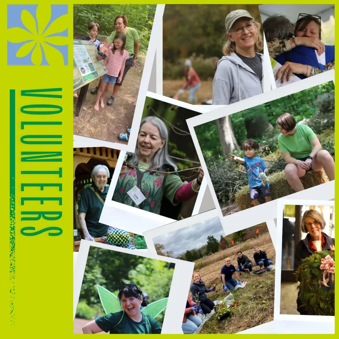 Volunteer Admissions Gate Attendant at Bowman's Hill Wildflower Preserve