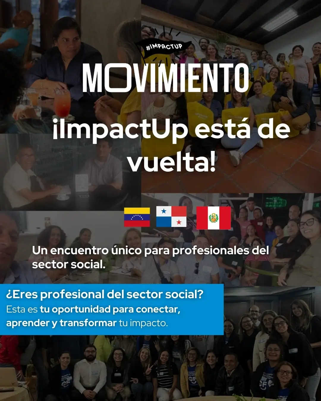 Encuentro entre Profesionales del Sector Social - ImpactUp: Movimiento