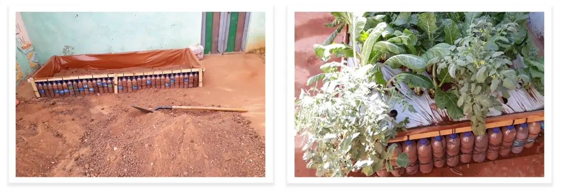 Uma horta no quintal construído com Ecobricks.]