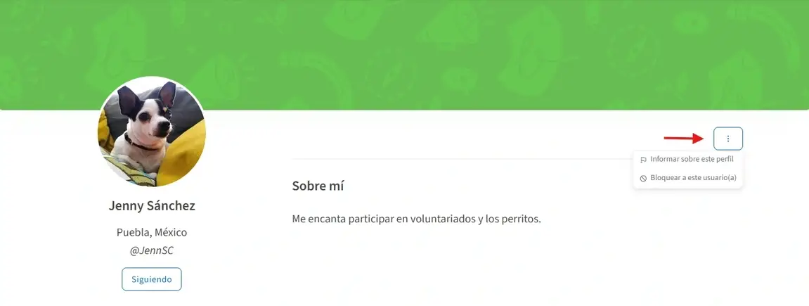 Captura de pantalla informar y bloquear a una persona en Idealist.