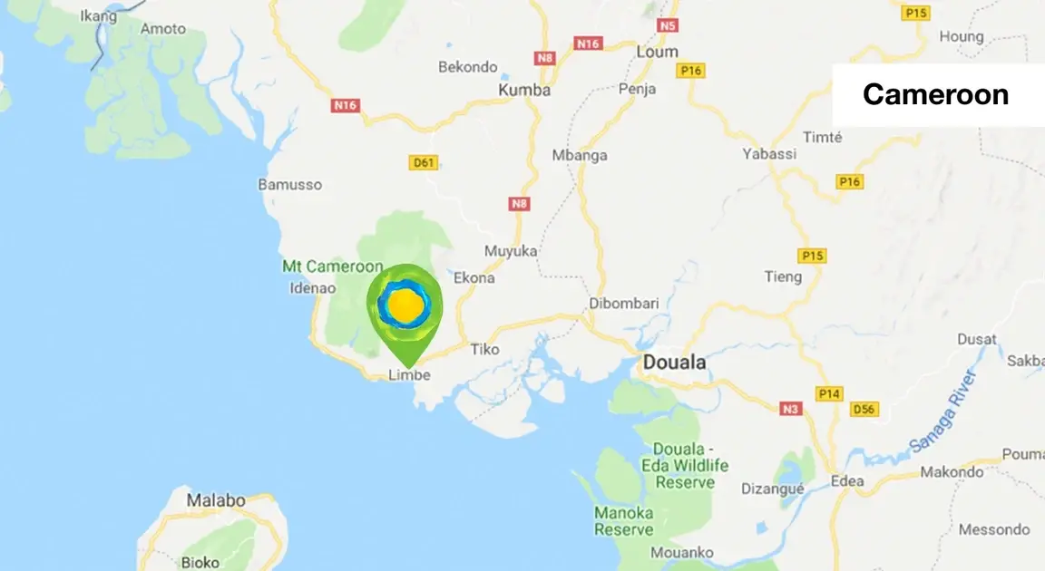 The Idealist map, zoomed in on Cameroon.