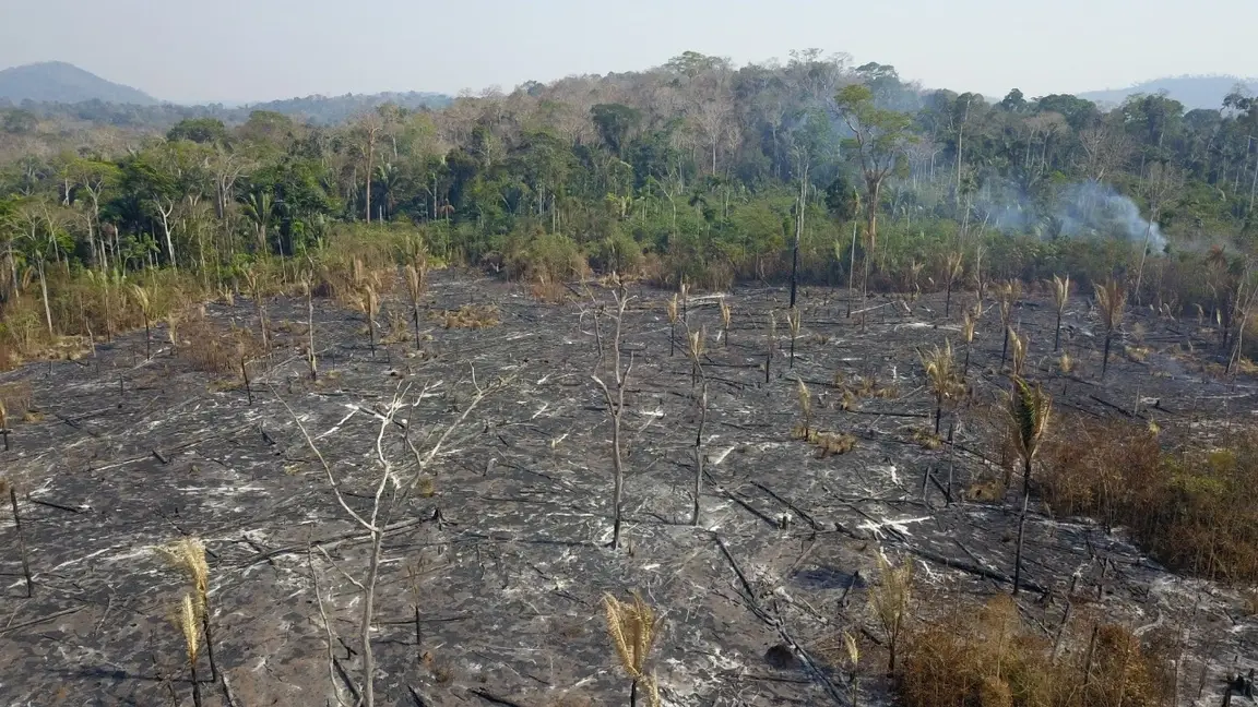 Terra arrasada pelo fogo