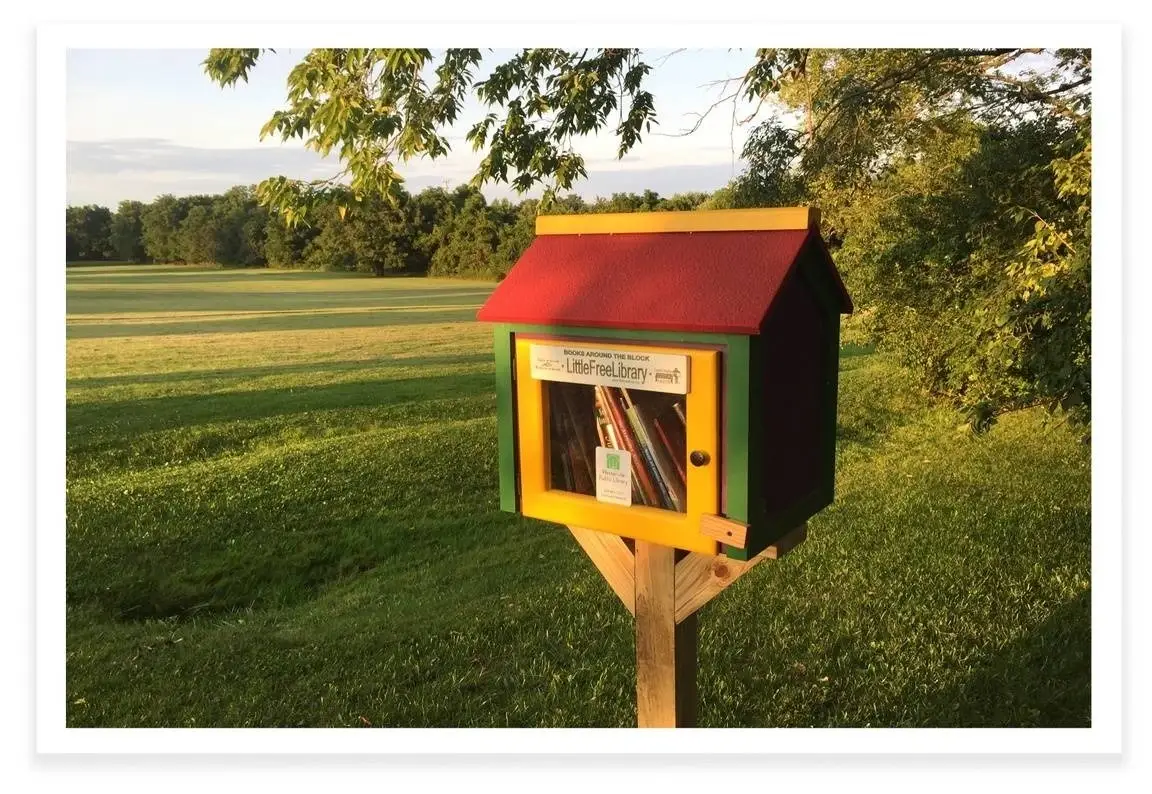 Cómo crear una mini biblioteca.
