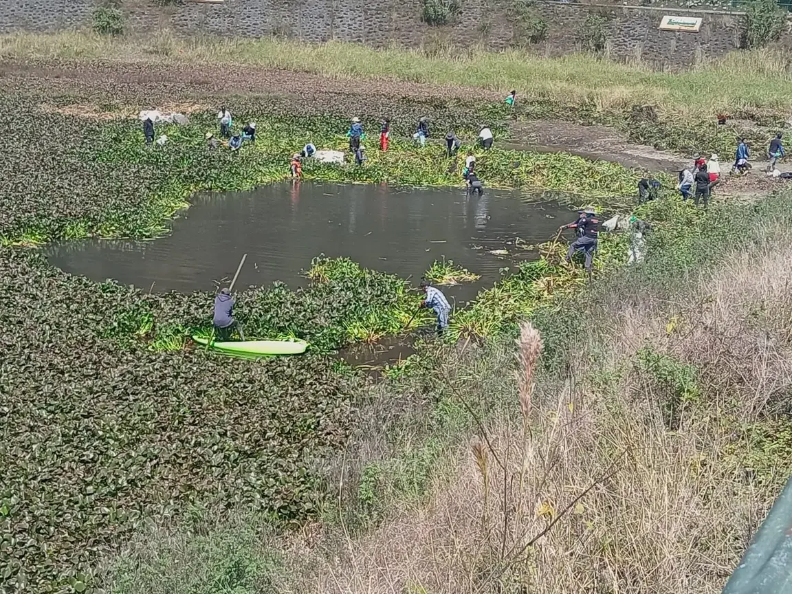 Grupo de personas limpiando un humedal.