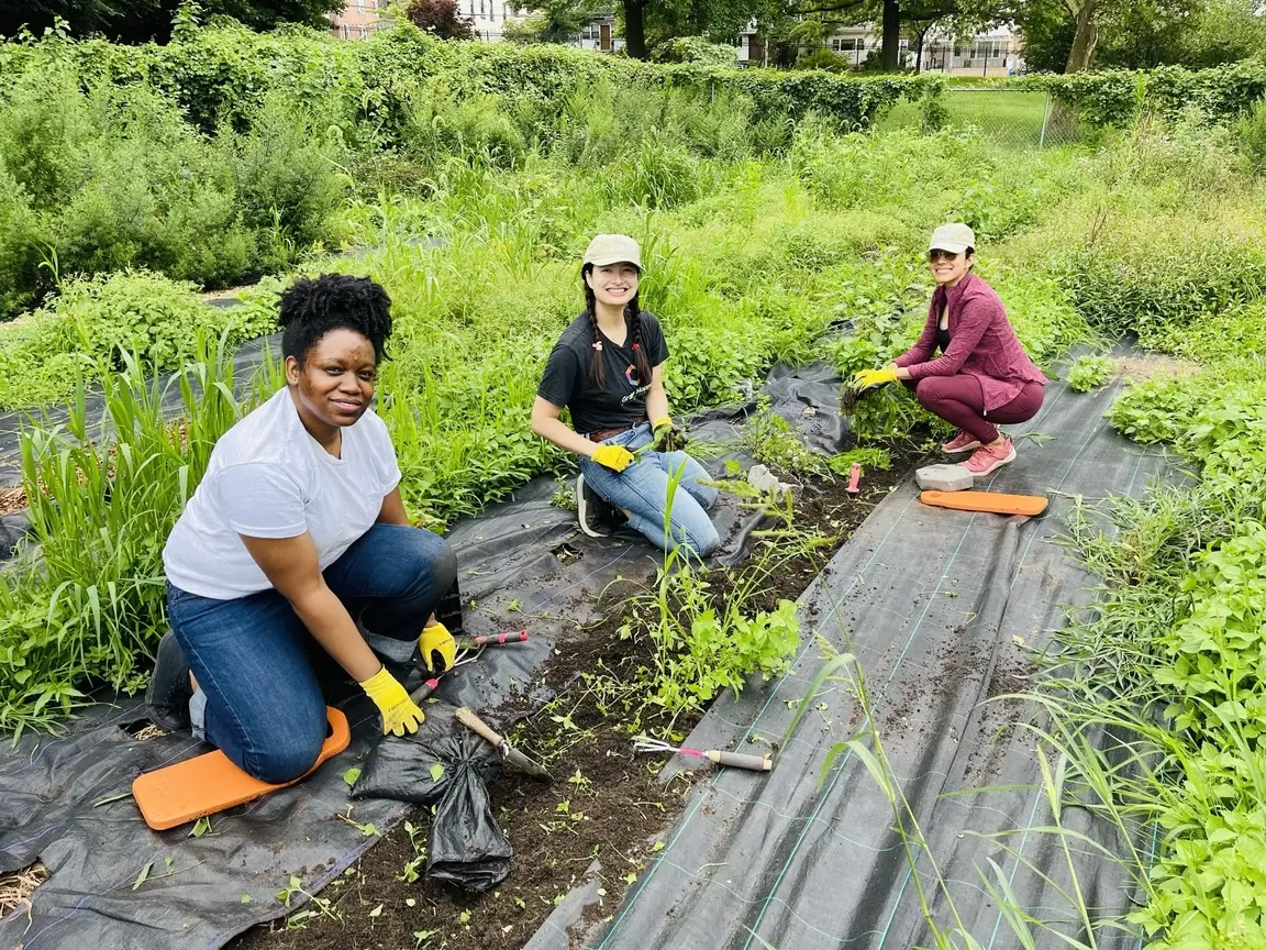 Three smiling volunteers tend to the greenery on a farm.