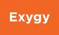 Lead Designer