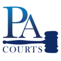 Court Access Attorney