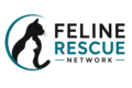Cat Shelter Volunteer