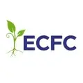 Director, Raising Child Care Fund