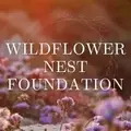 Social Media Lead (Volunteer)