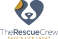 Board of Directors Member (Volunteer Nonprofit Leadership Opportunity)