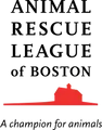 Development Assistant