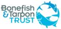 Director of Institutional Giving