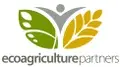Fundraising Consultant