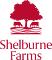 Human Resources Director