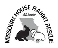 Helping care for abandoned pet rabbits at a shelter in Fenton