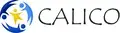 Executive Director