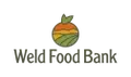 Volunteer Manager