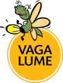 Analista de Voluntariado