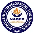 RECRUITMENT OF BOARD OF TRUSTEES/DIRECTORS FOR NAMULENGA DEVELOPMENT FOUNDATION (NADEF)