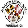FOSTER A DOG