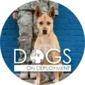 Business Relationship Development Manager (Volunteer, Remote) — Help Military Families Keep Their Pets