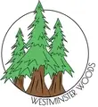 Interim Executive Director