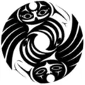Non-profit Accounting Specialist