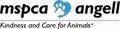 Volunteer Coordinator - Northeast Animal Shelter