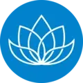 Chapter Director