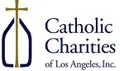 Agency Development Administrator