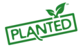 Program Manager