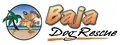 Automotive Support for Baja Dog Rescue