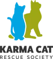 Community Education Volunteer