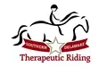Executive Director