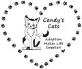 SOCIALIZATION EXPERTS NEEDED (Wild Kittens)