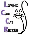 Cat Foster Caregiver