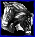 We NEED HORSE LOVERS to VOLUNTEER