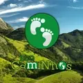 Communication Coordinator
