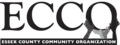 ECCO Community Organizer for Black Communities
