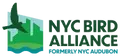 Senior Associate, Advocacy and Outreach