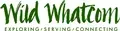 Executive Director