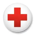 Red Cross Power Platform and SharePoint Apps Developer