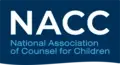 Executive Director/Chief Executive Officer
