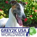 GREY2K USA Worldwide